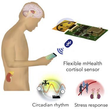 Đồ họa về sử dụng cảm biến đo mức độ căng thẳng căn cứ lượng mồ hôi tiết ra. Ảnh: cell.com Đồ họa về sử dụng cảm biến đo mức độ căng thẳng căn cứ lượng mồ hôi tiết ra. Ảnh: cell.com