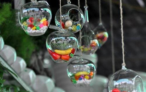 Loài cây này vừa có tác dụng điều hòa không khí, vừa có tác dụng trang trí