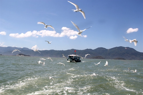 Bình yên trên biển đảo Khánh Hòa.