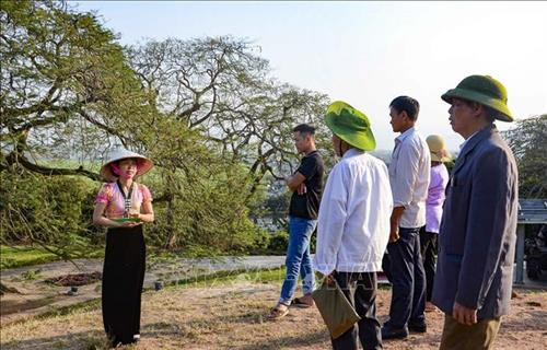 Thuyết minh viên hướng dẫn du khách tham quan tại Di tích Đồi A1. Ảnh: Xuân Tư – TTXVN Thuyết minh viên hướng dẫn du khách tham quan tại Di tích Đồi A1. Ảnh: Xuân Tư – TTXVN