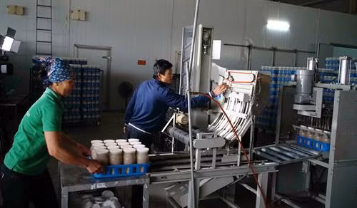Bà Dương Thị Thu Huệ - Giám đốc Công ty trách nhiệm hữu hạn xuất nhập khẩu Kinoko Thanh Cao (thứ ba, từ bên trái) giới thiệu với Lãnh đạo Sở Nông nghiệp và Phát triển nông thôn Hà Nội quy trình sản xuất nấm kim châm theo công nghệ Nhật Bản. Mô hình sản xuất nấm của Công ty TNHH xuất nhập khẩu Kinoko Thanh Cao có số vốn đầu tư ban đầu là 3 triệu USD (gần 70 tỷ đồng) để xây dựng hệ thống sản xuất nấm hoàn chỉnh bao gồm các khu vực: phòng cấy giống, phòng ươm, phòng đóng gói và thu hoạch.