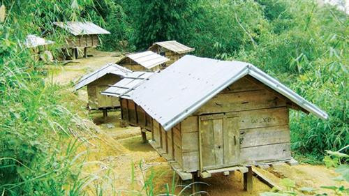 Lễ hội lúa kho của người Xê -đăng ảnh 2 Lễ hội lúa kho của người Xê -đăng ảnh 2