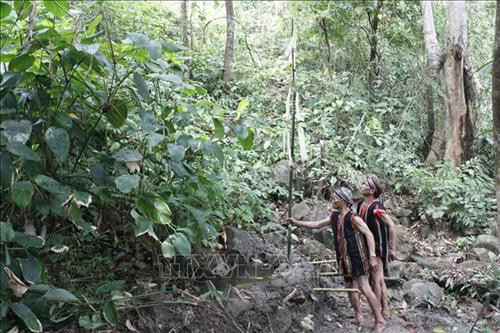 Già làng, đàn ông dựng cây Nêu trong lễ cúng Bến nước. Ảnh: Hồng Điệp - TTXVN Tại Bến nước làng Khưn, phường Trà Bá, thành phố Pleiku, bà con trong làng tập trung lấy nước vào mỗi buổi sáng. Ảnh: Hồng Điệp - TTXVN Phụ nữ tập trung tắm giặt sau một ngày lao động. Ảnh: Hồng Điệp - TTXVN Sáng sớm, người dân tập trung về Bến nước để vệ sinh cá nhân, rồi gùi nước về nhà dùng. Ảnh: Hồng Điệp - TTXVN Già làng, đàn ông dựng cây Nêu trong lễ cúng Bến nước. Ảnh: Hồng Điệp - TTXVN Tại Bến nước làng Khưn, phường Trà Bá, thành phố Pleiku, bà con trong làng tập trung lấy nước vào mỗi buổi sáng. Ảnh: Hồng Điệp - TTXVN Phụ nữ tập trung tắm giặt sau một ngày lao động. Ảnh: Hồng Điệp - TTXVN Sáng sớm, người dân tập trung về Bến nước để vệ sinh cá nhân, rồi gùi nước về nhà dùng. Ảnh: Hồng Điệp - TTXVN