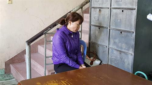 Bà Phạm Thị Mỹ Linh - chủ trường mầm non tư thục Mầm Xanh bị khởi tố về hành vi "hành hạ người khác". Ảnh: Theo Vietnamnet.