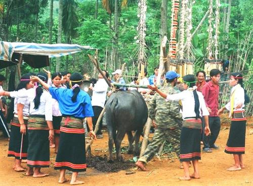 Đồng bào Xơ Đăng múa chiêu trong các nghi lễ hiến tế. Ảnh: langvietonline.vn Đồng bào Xơ Đăng múa chiêu trong các nghi lễ hiến tế. Ảnh: langvietonline.vn