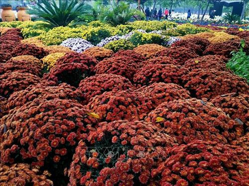 Du khách chiêm ngưỡng hàng cây lá phong đỏ tại Hàm Đan, tỉnh Hà Bắc, Trung Quốc. Ảnh: THX/TTXVN. Hoa cúc khoe sắc tại triển lãm hoa quốc tế Bắc Kinh, Trung Quốc. Ảnh: THX/ TTXVN Hoa cúc nở rộ tại Bắc Kinh, Trung Quốc. Ảnh: THX/TTXVN Người dân thăm triển lãm hoa quốc tế Bắc Kinh, Trung Quốc. Ảnh: THX/TTXVN Cảnh sắc mùa thu tại Tửu Tuyền, tỉnh Cam Túc, miền Tây Bắc Trung Quốc. Ảnh: THX/TTXVN Du khách chiêm ngưỡng cảnh đẹp tại Tửu Tuyền, tỉnh Cam Túc, miền Tây Bắc Trung Quốc. Ảnh: THX/TTXVN Mùa thu vàng hấp dẫn du khách tại Tửu Tuyền, tỉnh Cam Túc, miền Tây Bắc Trung Quốc. Ảnh: THX/TTXVN Sắc màu thu tại Khu tự trị Nội Mông, miền Bắc Trung Quốc. Ảnh: THX/TTXVN phát Sắc màu thu tại Tế Nam, tỉnh Sơn Đông, Trung Quốc ngày 21/10/2019. Ảnh: THX/TTXVN phát Du khách chiêm ngưỡng hàng cây lá phong đỏ tại Hàm Đan, tỉnh Hà Bắc, Trung Quốc. Ảnh: THX/TTXVN. Hoa cúc khoe sắc tại triển lãm hoa quốc tế Bắc Kinh, Trung Quốc. Ảnh: THX/ TTXVN Hoa cúc nở rộ tại Bắc Kinh, Trung Quốc. Ảnh: THX/TTXVN Người dân thăm triển lãm hoa quốc tế Bắc Kinh, Trung Quốc. Ảnh: THX/TTXVN Cảnh sắc mùa thu tại Tửu Tuyền, tỉnh Cam Túc, miền Tây Bắc Trung Quốc. Ảnh: THX/TTXVN Du khách chiêm ngưỡng cảnh đẹp tại Tửu Tuyền, tỉnh Cam Túc, miền Tây Bắc Trung Quốc. Ảnh: THX/TTXVN Mùa thu vàng hấp dẫn du khách tại Tửu Tuyền, tỉnh Cam Túc, miền Tây Bắc Trung Quốc. Ảnh: THX/TTXVN Sắc màu thu tại Khu tự trị Nội Mông, miền Bắc Trung Quốc. Ảnh: THX/TTXVN phát Sắc màu thu tại Tế Nam, tỉnh Sơn Đông, Trung Quốc ngày 21/10/2019. Ảnh: THX/TTXVN phát