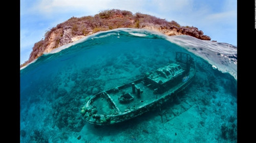 Những tuyệt phẩm dưới nước đạt giải năm 2016 ảnh 5