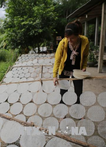 Người dân làng Lựu Bảo phơi bánh tráng. Ảnh: Hồ Cầu-TTXVN
