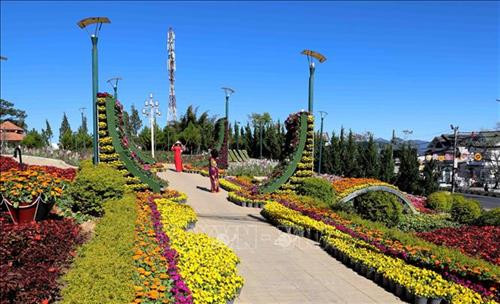 Nhiều địa điểm trên TP Đà Lạt trang trí hoa thu hút du khách. Ảnh: Nhật Anh - TTXVN Không gian hoa dọc trục đường Lê Đại Hành (TP Đà Lạt) hấp dẫn du khách. Ảnh: Nhật Anh - TTXVN Các địa điểm công cộng được trang trí không gian hoa hấp dẫn du khách. Ảnh: Nhật Anh - TTXVN Không gian hoa xung quanh hồ Xuân Hương thu hút du khách đến tham quan. Ảnh: Nhật Anh - TTXVN Nhiều địa điểm trên TP Đà Lạt trang trí hoa thu hút du khách. Ảnh: Nhật Anh - TTXVN Không gian hoa dọc trục đường Lê Đại Hành (TP Đà Lạt) hấp dẫn du khách. Ảnh: Nhật Anh - TTXVN Các địa điểm công cộng được trang trí không gian hoa hấp dẫn du khách. Ảnh: Nhật Anh - TTXVN Không gian hoa xung quanh hồ Xuân Hương thu hút du khách đến tham quan. Ảnh: Nhật Anh - TTXVN