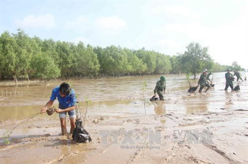 Sóc Trăng trồng rừng phòng hộ ven biển thích ứng với biến đổi khí hậu Ảnh: Hoài Thu - TTXVN Sóc Trăng trồng rừng phòng hộ ven biển thích ứng với biến đổi khí hậu Ảnh: Hoài Thu - TTXVN
