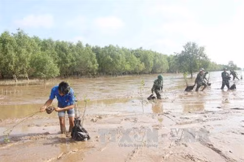 Sóc Trăng trồng rừng phòng hộ ven biển thích ứng với biến đổi khí hậu Ảnh: Hoài Thu - TTXVN Sóc Trăng trồng rừng phòng hộ ven biển thích ứng với biến đổi khí hậu Ảnh: Hoài Thu - TTXVN