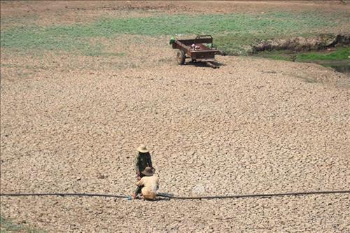 Người dân lắp đường ống để bơm những vũng nước cuối cùng của hồ thủy lợi Ea Juô, huyện Krông Bông. Ảnh: Tuấn Anh – TTXVN Người dân lắp đường ống để bơm những vũng nước cuối cùng của hồ thủy lợi Ea Juô, huyện Krông Bông. Ảnh: Tuấn Anh – TTXVN