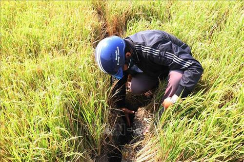 Đồng ruộng của người dân xã Ea Trul, huyện Krông Bông nứt nẻ do hạn hán. Ảnh: Tuấn Anh – TTXVN Đồng ruộng của người dân xã Ea Trul, huyện Krông Bông nứt nẻ do hạn hán. Ảnh: Tuấn Anh – TTXVN