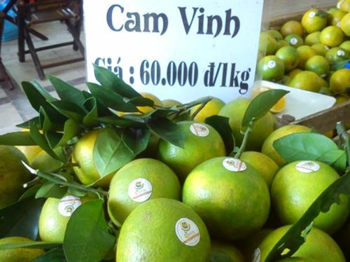 Giá cam Vinh cao từ đầu mùa. Ảnh: camvinh.net Giá cam Vinh cao từ đầu mùa. Ảnh: camvinh.net