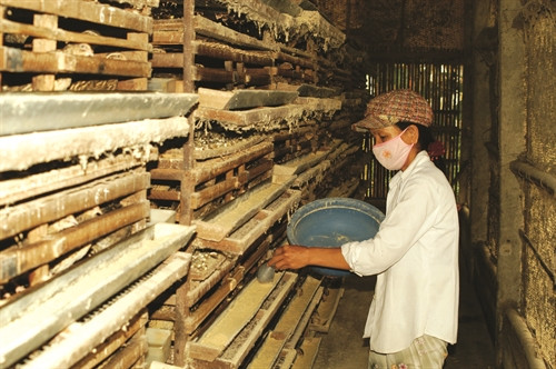 Khi cám trong máng hết mới cho lượt cám khác để tránh thức ăn bị chồng lên nhau gây ẩm mốc.