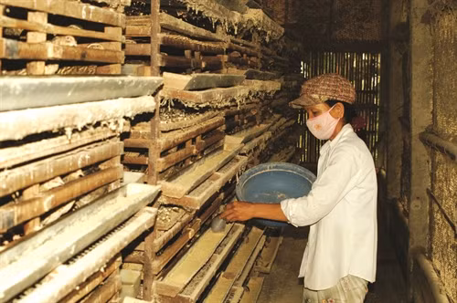 Khi cám trong máng hết mới cho lượt cám khác để tránh thức ăn bị chồng lên nhau gây ẩm mốc. Khi cám trong máng hết mới cho lượt cám khác để tránh thức ăn bị chồng lên nhau gây ẩm mốc.