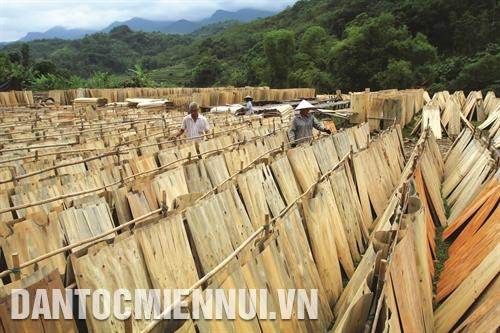 Ngân hàng Chính sách xã hội huyện Ba Bể hỗ trợ đồng bào sinh sống trên địa bàn vay vốn phát triển sản xuất. Ảnh: An Thành Đạt Năm 2018, Trạm Khuyến nông huyện Ba Bể xây dựng mô hình trồng cây mướp đắng rừng, mở thêm cho đồng bào cơ hội phát triển kinh tế. Ảnh: An Thành Đạt Phát triển cây ngô góp phần chuyển dịch cơ cấu nông nghiệp, nông thôn ở huyện Ba Bể. Trong ảnh: Mùa thu hoạch ngô ở xã Mỹ Phương. Ảnh: An Thành Đạt Khai thác và chế biến lâm sản trên địa bàn huyện Ba Bể góp phần tạo việc làm cho lao động địa phương. Ảnh: An Thành Đạt Hợp tác xã chè Mỹ Phương, huyện Ba Bể luôn vận động đồng bào chú trọng nâng cao chất lượng sản phẩm, cam kết áp dụng đúng quy trình sản xuất chè an toàn. Ảnh: An Thành Đạt