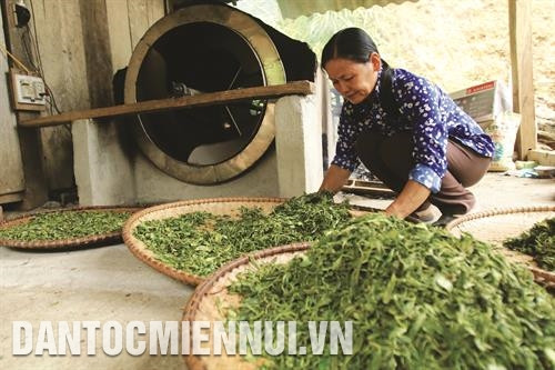 Ngân hàng Chính sách xã hội huyện Ba Bể hỗ trợ đồng bào sinh sống trên địa bàn vay vốn phát triển sản xuất. Ảnh: An Thành Đạt Năm 2018, Trạm Khuyến nông huyện Ba Bể xây dựng mô hình trồng cây mướp đắng rừng, mở thêm cho đồng bào cơ hội phát triển kinh tế. Ảnh: An Thành Đạt Phát triển cây ngô góp phần chuyển dịch cơ cấu nông nghiệp, nông thôn ở huyện Ba Bể. Trong ảnh: Mùa thu hoạch ngô ở xã Mỹ Phương. Ảnh: An Thành Đạt Khai thác và chế biến lâm sản trên địa bàn huyện Ba Bể góp phần tạo việc làm cho lao động địa phương. Ảnh: An Thành Đạt Hợp tác xã chè Mỹ Phương, huyện Ba Bể luôn vận động đồng bào chú trọng nâng cao chất lượng sản phẩm, cam kết áp dụng đúng quy trình sản xuất chè an toàn. Ảnh: An Thành Đạt