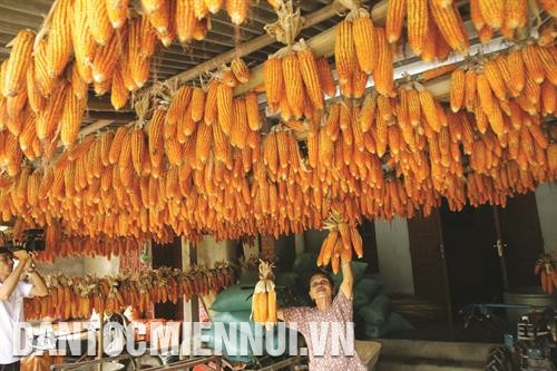 Ngân hàng Chính sách xã hội huyện Ba Bể hỗ trợ đồng bào sinh sống trên địa bàn vay vốn phát triển sản xuất. Ảnh: An Thành Đạt Năm 2018, Trạm Khuyến nông huyện Ba Bể xây dựng mô hình trồng cây mướp đắng rừng, mở thêm cho đồng bào cơ hội phát triển kinh tế. Ảnh: An Thành Đạt Phát triển cây ngô góp phần chuyển dịch cơ cấu nông nghiệp, nông thôn ở huyện Ba Bể. Trong ảnh: Mùa thu hoạch ngô ở xã Mỹ Phương. Ảnh: An Thành Đạt Khai thác và chế biến lâm sản trên địa bàn huyện Ba Bể góp phần tạo việc làm cho lao động địa phương. Ảnh: An Thành Đạt Hợp tác xã chè Mỹ Phương, huyện Ba Bể luôn vận động đồng bào chú trọng nâng cao chất lượng sản phẩm, cam kết áp dụng đúng quy trình sản xuất chè an toàn. Ảnh: An Thành Đạt