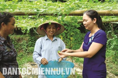 Ngân hàng Chính sách xã hội huyện Ba Bể hỗ trợ đồng bào sinh sống trên địa bàn vay vốn phát triển sản xuất. Ảnh: An Thành Đạt Năm 2018, Trạm Khuyến nông huyện Ba Bể xây dựng mô hình trồng cây mướp đắng rừng, mở thêm cho đồng bào cơ hội phát triển kinh tế. Ảnh: An Thành Đạt Phát triển cây ngô góp phần chuyển dịch cơ cấu nông nghiệp, nông thôn ở huyện Ba Bể. Trong ảnh: Mùa thu hoạch ngô ở xã Mỹ Phương. Ảnh: An Thành Đạt Khai thác và chế biến lâm sản trên địa bàn huyện Ba Bể góp phần tạo việc làm cho lao động địa phương. Ảnh: An Thành Đạt Hợp tác xã chè Mỹ Phương, huyện Ba Bể luôn vận động đồng bào chú trọng nâng cao chất lượng sản phẩm, cam kết áp dụng đúng quy trình sản xuất chè an toàn. Ảnh: An Thành Đạt