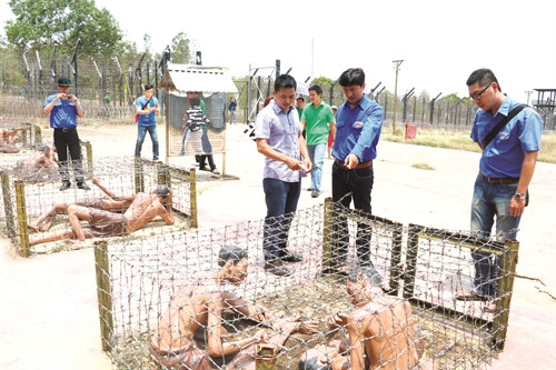 Du khách tham quan khu chuồng cọp, một trong những hình thức giam cầm và tra tấn khét tiếng ở Nhà tù Phú Quốc năm xưa Du khách tham quan khu chuồng cọp, một trong những hình thức giam cầm và tra tấn khét tiếng ở Nhà tù Phú Quốc năm xưa