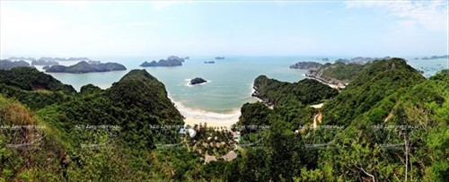 Đảo Cát Bà có hệ động thực vật rất phong phú và đa dạng. Ảnh: Trần Thanh Giang