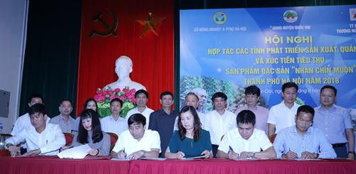 Phó Chủ tịch Thường trực Ủy ban Nhân dân Thành phố Hà Nội Nguyễn Văn Sửu đánh giá cao những nỗ lực của ngành Nông nghiệp Hà Nội và huyện Quốc Oai trong việc phát triển các nông sản, đặc sản có giá trị kinh tế cao, đặc biệt là sản phẩm nhãn chín muộn. Phó Chủ tịch Thường trực Ủy ban Nhân dân Thành phố Hà Nội Nguyễn Văn Sửu trao chứng nhận QR code truy xuất nguồn gốc sản phẩm nhãn chín muộn cho huyện Quốc Oai. Ký cam kết hợp tác các tỉnh phát triển sản xuất, quảng bá và xúc tiến tiêu thụ sản phẩm đặc sản nhãn chín muộn Hà Nội.