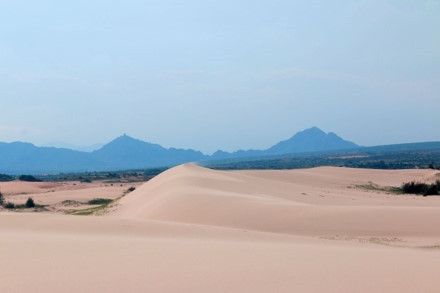 Sơn Hải - nơi đồi cát hùng vĩ chạy ra sát biển đẹp mê hồn ảnh 15