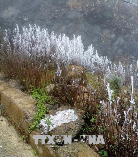 Băng giá đã xuất hiện từ ngày 10/1 tại đỉnh đèo Khau Phạ (xã Cao Phạ) và đỉnh Kháu Nha (xã La Pán Tẩn), huyện Mù Cang Chải, Yên Bái. Ảnh: Đỗ Anh Tuấn - TTXVN Băng giá đã xuất hiện từ ngày 10/1 tại đỉnh đèo Khau Phạ (xã Cao Phạ) và đỉnh Kháu Nha (xã La Pán Tẩn), huyện Mù Cang Chải, Yên Bái. Ảnh: Đỗ Anh Tuấn - TTXVN
