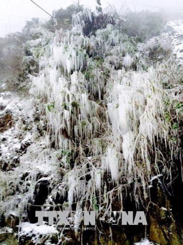 Băng giá đã xuất hiện từ ngày 10/1 tại đỉnh đèo Khau Phạ (xã Cao Phạ) và đỉnh Kháu Nha (xã La Pán Tẩn) - huyện Mù Cang Chải - Yên Bái. Ảnh: Đỗ Anh Tuấn - TTXVN Băng giá đã xuất hiện từ ngày 10/1 tại đỉnh đèo Khau Phạ (xã Cao Phạ) và đỉnh Kháu Nha (xã La Pán Tẩn) - huyện Mù Cang Chải - Yên Bái. Ảnh: Đỗ Anh Tuấn - TTXVN