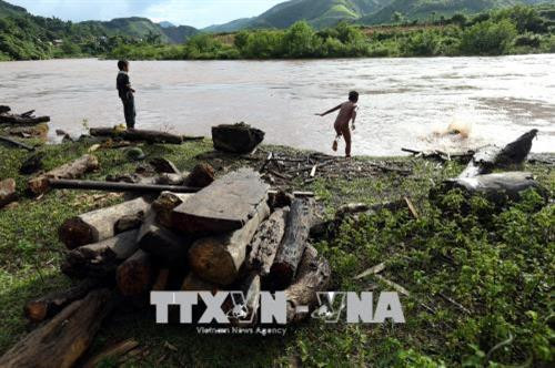 Những khúc củi, tấm gỗ do bọn trẻ vớt được tập kết trên bờ. Ảnh: Phan Tuấn Anh - TTXVN Niềm vui của cậu bé khi vớt được một thân cây to. Ảnh: Phan Tuấn Anh - TTXVN Đứng trên bờ nhìn thấy có củi trôi sông, các cậu bé ngay lập tức thi nhau nhảy xuống để vớt dù nước chảy xiết. Ảnh: Phan Tuấn Anh - TTXVN Để vớt được thanh củi to trôi dưới sông có khi phải 3 đứa trẻ mới đưa được vào bờ. Ảnh: Phan Tuấn Anh - TTXVN Một cậu bé vớt được thanh củi to trôi dưới sông. Ảnh: Phan Tuấn Anh - TTXVN Những khúc củi, tấm gỗ do bọn trẻ vớt được tập kết trên bờ. Ảnh: Phan Tuấn Anh - TTXVN Niềm vui của cậu bé khi vớt được một thân cây to. Ảnh: Phan Tuấn Anh - TTXVN Đứng trên bờ nhìn thấy có củi trôi sông, các cậu bé ngay lập tức thi nhau nhảy xuống để vớt dù nước chảy xiết. Ảnh: Phan Tuấn Anh - TTXVN Để vớt được thanh củi to trôi dưới sông có khi phải 3 đứa trẻ mới đưa được vào bờ. Ảnh: Phan Tuấn Anh - TTXVN Một cậu bé vớt được thanh củi to trôi dưới sông. Ảnh: Phan Tuấn Anh - TTXVN