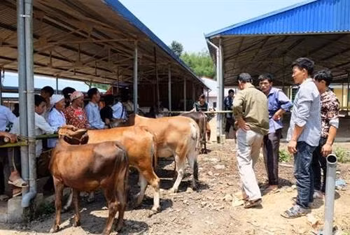 Chợ phiên Lũng Pán ảnh 10