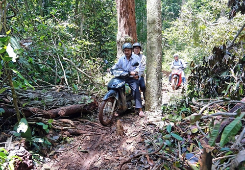 Đường vào điểm trường thôn 4 khó đi gấp bội so với điểm trường thôn 3 nên là nơi “ưu tiên”cho các thầy giáo đứng lớp trong hơn 20 năm qua. Đường vào điểm trường thôn 4 khó đi gấp bội so với điểm trường thôn 3 nên là nơi “ưu tiên”cho các thầy giáo đứng lớp trong hơn 20 năm qua.