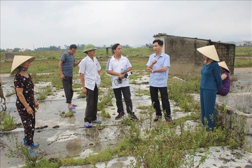 Do giá muối xuống thấp nên nhiều người dân đã bỏ nghề và diện tích đồng muối đã giảm qua từng năm. Ảnh: Nguyễn Nam-TTXVN Do giá muối xuống thấp nên nhiều người dân đã bỏ nghề và diện tích đồng muối đã giảm qua từng năm. Ảnh: Nguyễn Nam-TTXVN