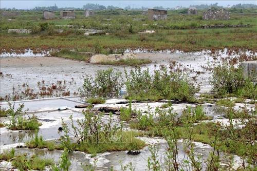Nhiều diện tích đất làm muối của diêm dân sống tại xã Hải Bình, huyện Tĩnh Gia bị bỏ hoang. Ảnh: Nguyễn Nam-TTXVN Nhiều diện tích đất làm muối của diêm dân sống tại xã Hải Bình, huyện Tĩnh Gia bị bỏ hoang. Ảnh: Nguyễn Nam-TTXVN