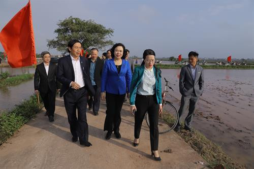 Ngày 14/2/2019, tại huyện Phú Xuyên (Hà Nội), đoàn kiểm tra do đồng chí Ngô Thị Thanh Hằng, Phó Bí thư Thường trực Thành ủy, Trưởng Ban Chỉ đạo Chương trình 02 dẫn đầu tiến hành kiểm tra tiến độ thực hiện sản xuất vụ Xuân 2019 và Chương trình 02-CTr/TU của Thành ủy Hà Nội.