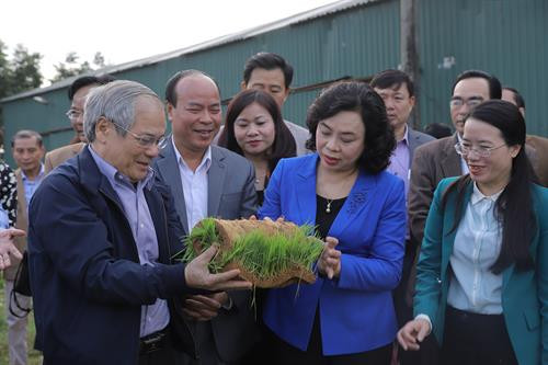Phó Bí thư Thường trực Thành ủy Hà Nội Ngô Thị Thanh Hằng đã xuống đồng thăm mô hình sản xuất lúa vụ Xuân 2019 bằng mạ khay, máy cấy của Hợp tác xã Nông nghiệp Phú Thắng thuộc xã Đại Thắng. Phó Bí thư Thường trực Thành ủy Hà Nội Ngô Thị Thanh Hằng thăm mô hình sản xuất lúa vụ Xuân 2019 bằng mạ khay. Phó Bí thư Thường trực Thành ủy Hà Nội Ngô Thị Thanh Hằng thăm mô hình sản xuất lúa vụ Xuân 2019 bằng mạ khay.