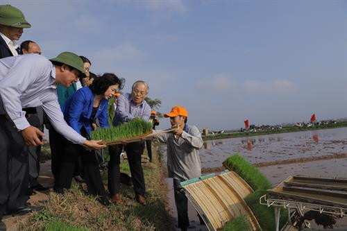 Trên cánh đồng thôn Tạ Xá, Phó Bí thư Thường trực Thành ủy Hà Nội Ngô Thị Thanh Hằng đã tận tình thăm hỏi, động viên nông dân tích cực sản xuất. Người dân xã Đại Thắng khẩn trương làm đất gieo cấy vụ Xuân. Trên cơ sở thành công của dồn ghép ruộng đất, huyện đã chuyển đổi được 2.830 ha lúa và rau màu sang các mô hình vườn - ao - chuồng, thủy sản, lúa chất lượng cao, cây ăn quả, chăn nuôi xa khu dân cư đạt hiệu quả cao.