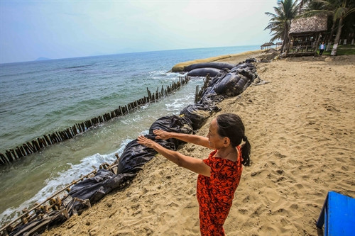 Cửa hàng Mama Lỳ trên bãi biển Cửa Đại giờ được "bảo vệ" bởi con đê bao cát và cọc gỗ mất mỹ quan ngay sát bởi sự xâm thực quá nhanh của biển vào đất liền. Vài năm trước, có nằm mơ bà chủ cửa hàng này cũng không ngờ cửa hàng nhà bà sẽ đến lúc tiều tụy, thưa vắng khách như bây giờ. Cửa hàng Mama Lỳ trên bãi biển Cửa Đại giờ được "bảo vệ" bởi con đê bao cát và cọc gỗ mất mỹ quan ngay sát bởi sự xâm thực quá nhanh của biển vào đất liền. Vài năm trước, có nằm mơ bà chủ cửa hàng này cũng không ngờ cửa hàng nhà bà sẽ đến lúc tiều tụy, thưa vắng khách như bây giờ.