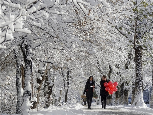 25 bức ảnh nhận "bão like" của năm ảnh 24