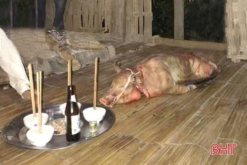 Mâm cúng ma nhà trong đám cưới truyền thống của người Mã Liềng. Ảnh: Phạm Khắc Lanh Mâm cúng ma nhà trong đám cưới truyền thống của người Mã Liềng. Ảnh: Phạm Khắc Lanh