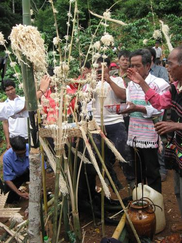 Lễ mừng lúa sinh trưởng của người Mạ