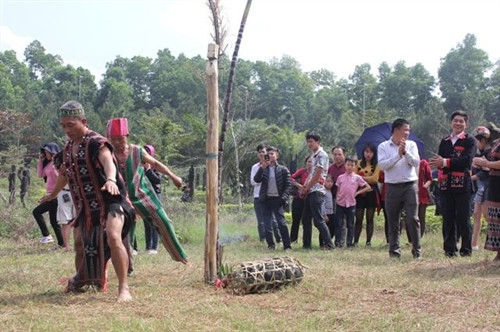 Lễ tế sống của đồng bào Tà Ôi. Lễ tế sống của đồng bào Tà Ôi.