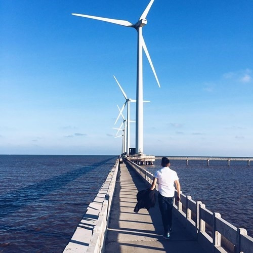 Đến Bạc Liêu ngắm “cánh đồng quạt gió” đẹp như trời Tây ảnh 6