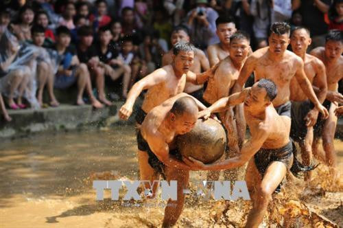 Khi trận đấu diễn ra, các quân cầu sẽ tranh cướp một quả cầu bằng gỗ lim, đường kính khoảng 40cm rồi tìm cách đẩy vào hố ở phần sân đối phương. Quả cầu này đã được lưu truyền trong làng từ nhiều đời trước. Ảnh: Tùng Lâm – TTXVN