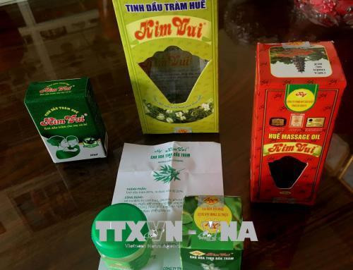 Xây dựng chỉ dẫn địa lý cho sản phẩm dầu tràm Huế. Ảnh: Quốc Việt - TTXVN Xây dựng chỉ dẫn địa lý cho sản phẩm dầu tràm Huế. Ảnh: Quốc Việt - TTXVN