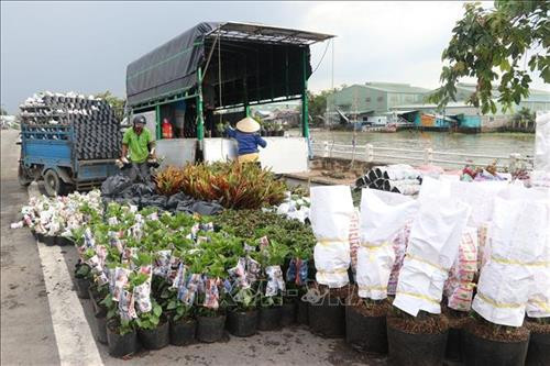 Giá trị sản xuất hoa kiểng năm 2018, đạt 1.500 tỷ đồng, tăng 9,5% so với năm 2017 Giá trị sản xuất hoa kiểng năm 2018, đạt 1.500 tỷ đồng, tăng 9,5% so với năm 2017