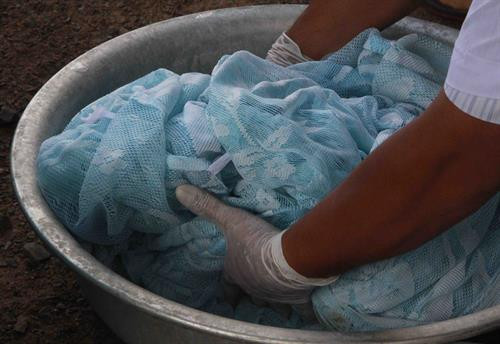Màn ngủ của các hộ dân xã Krông Na được tẩm hóa chất để phòng chống bệnh sốt rét. Ảnh: Phạm Cường - TTXVN Màn ngủ của các hộ dân xã Krông Na được tẩm hóa chất để phòng chống bệnh sốt rét. Ảnh: Phạm Cường - TTXVN