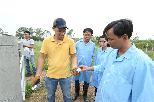 Đàn bò gồm 6 con giống Brahman thuần được nhập từ Úc về sống khỏe tại Trung tâm Giống và sữa bò Phù Đổng, huyện Gia Lâm (Hà Nội). Công ty cổ phần Giống gia súc Hà Nội hiện đang chuẩn bị cơ sở hạ tầng với máy móc, công nghệ tiên tiến để sản xuất tinh cọng ra đông lạnh.