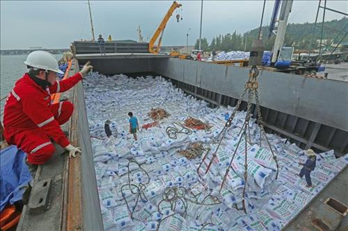 Nhà máy lọc dầu Dung Quất - Công ty Lọc hóa dầu Bình Sơn tại Khu kinh tế Dung Quất (Quảng Ngãi) có tổng vốn đầu tư hơn 3 tỷ USD, công suất thiết kế 6,5 triệu tấn sản phẩm/năm, đáp ứng 1/3 nhu cầu trong nước. Ảnh: Huy Hùng – TTXVN Nâng cấp, sửa chữa cầu cảng đảo Bé thuộc xã đảo An Bình, huyện đảo Lý Sơn (Quảng Ngãi) nhằm tạo điều kiện đi lại thuận lợi cho người dân và khách du lịch, thông thương hàng hóa và phát triển kinh tế - xã hội cho xã đảo. Ảnh: Ngọc Hà – TTXVN Cảng Dung Quất đạt sản lượng lớn về quy mô và lượt tàu ra vào trong cả nước, chỉ sau cảng Sài Gòn, Vũng Tàu, Hải Phòng, Quảng Ninh và đứng đầu khu vực miền Trung. Ảnh: Huy Hùng – TTXVN